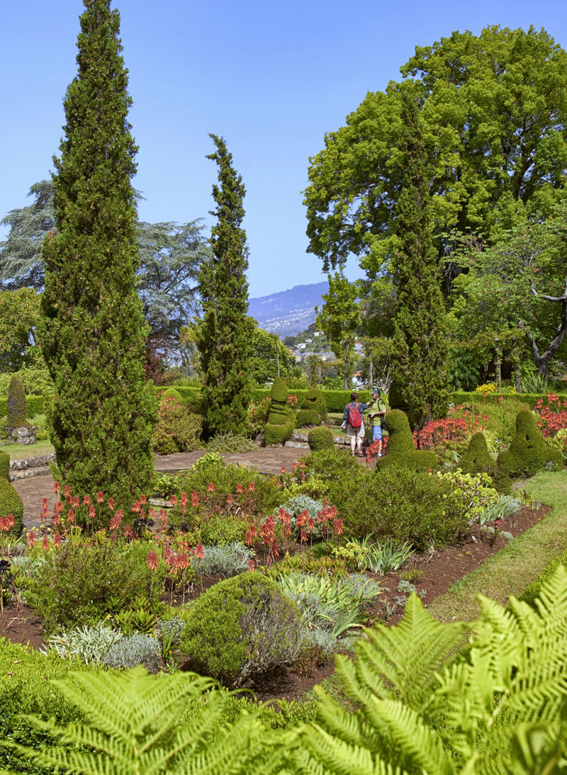 The Gardener's Garden