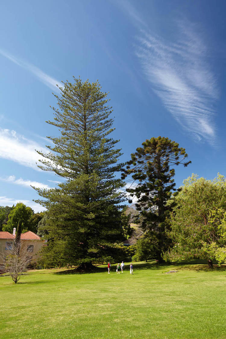 Palheiro Gardens