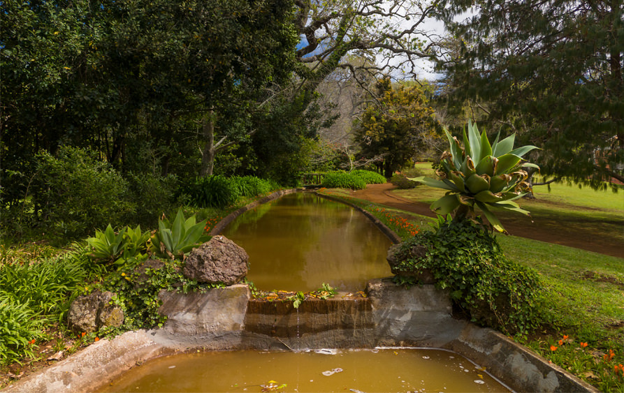 Palheiro Gardens - Madeira