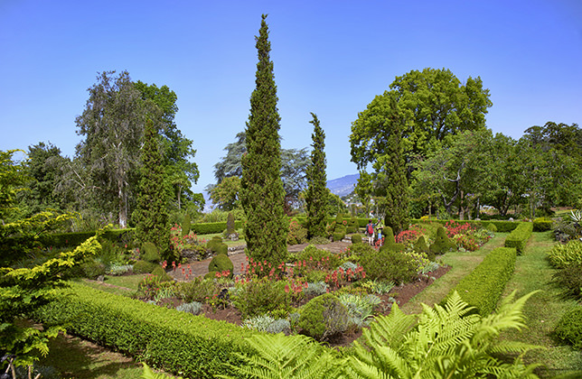 Palheiro Gardens Flowers