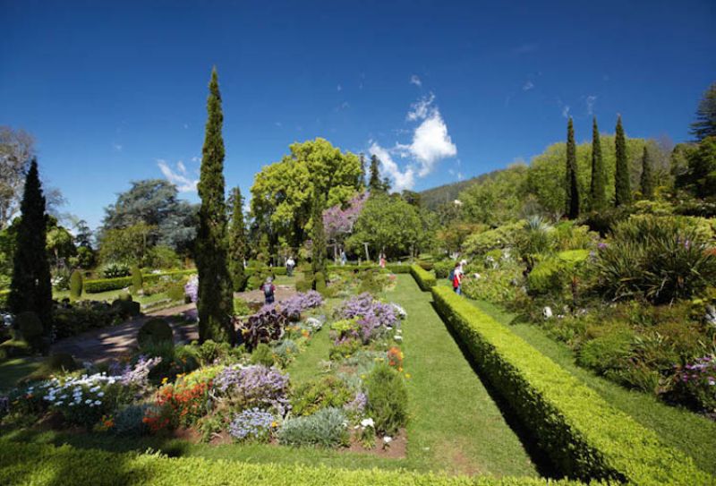 Palheiro Gardens Flowers