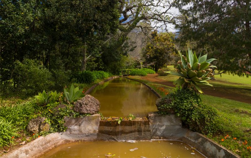Palheiro Gardens - Madeira
