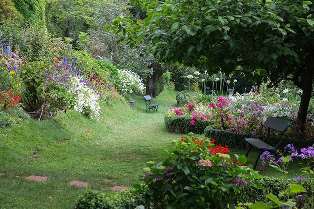 Palheiro Gardens Flowers