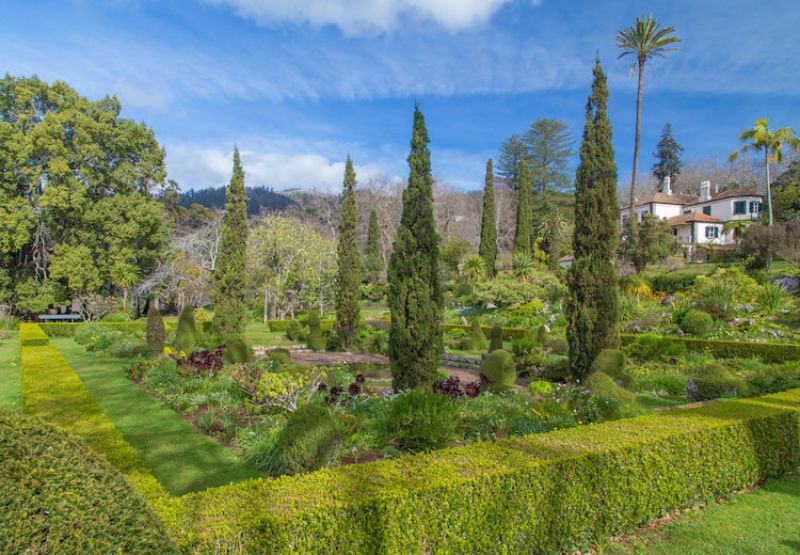 Palheiro Gardens Flowers