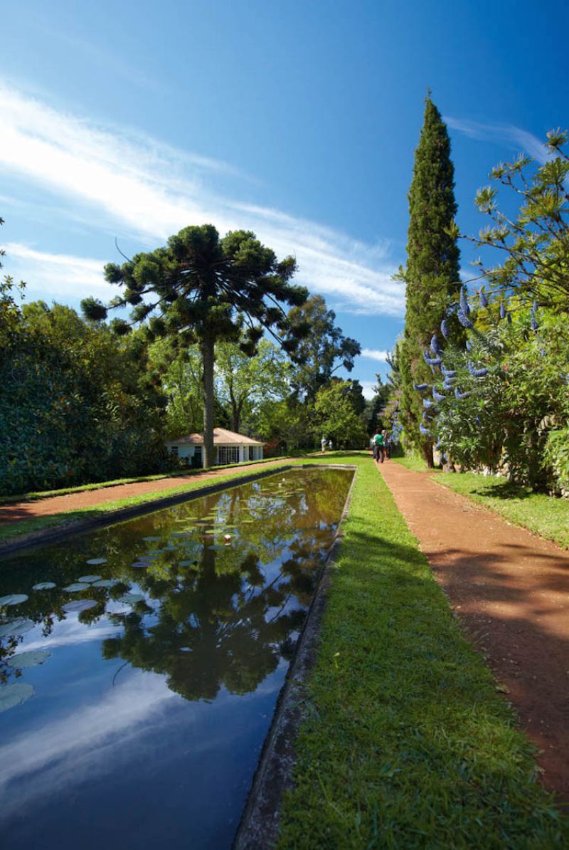 Palheiro Gardens Flowers