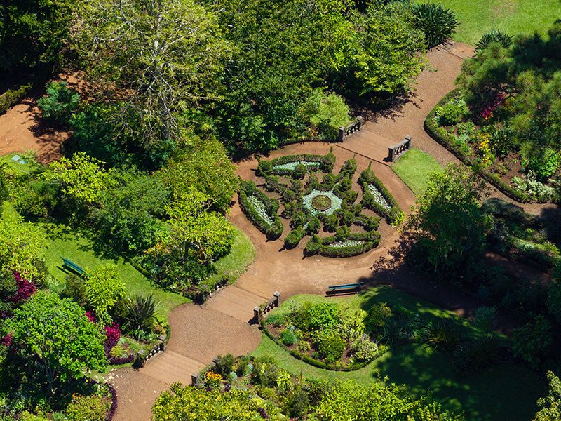 Palheiro Gardens Flowers