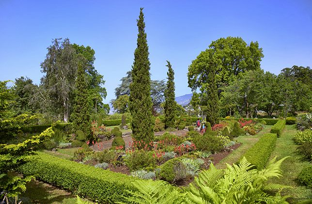 Palheiro Gardens Flowers