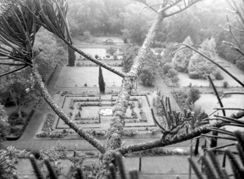 formal garden in French style