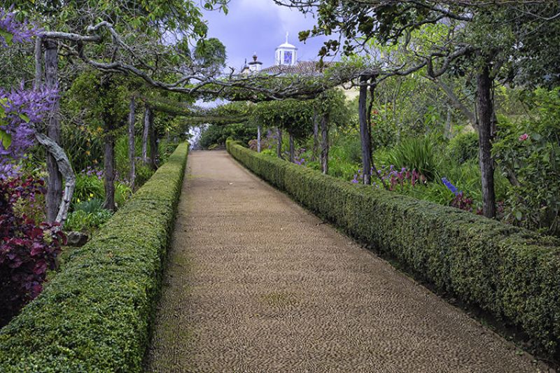 Palheiro Gardens Flowers