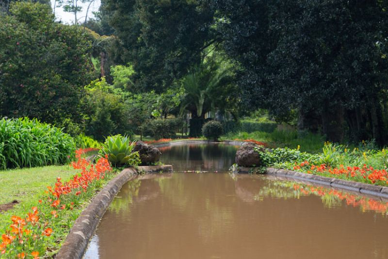 Palheiro Gardens Flowers