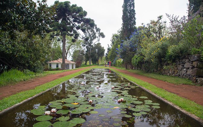 Palheiro Gardens Flowers